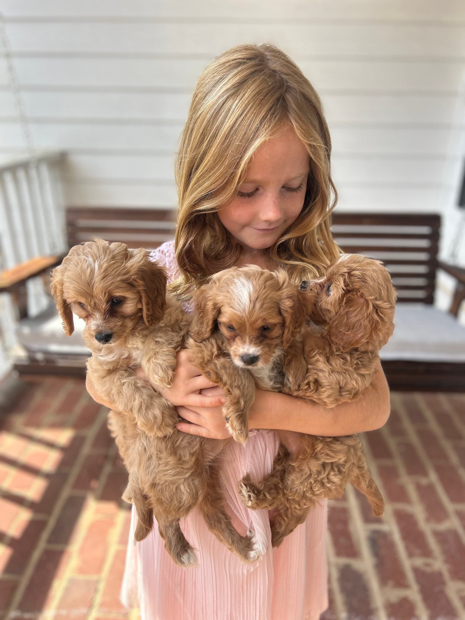Mercy Lane Dogs
